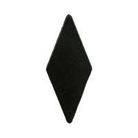 Polished Black