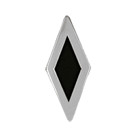 Polished Silver and Black