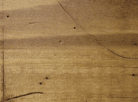 Matte Timber Ridge