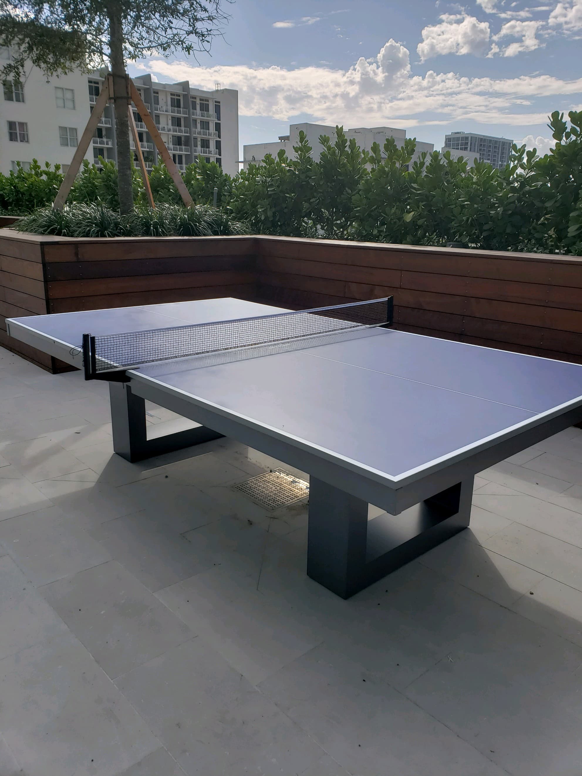 horizon table tennis