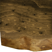 Matte Dark Finish Pine