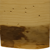 Matte Light Finish Pine